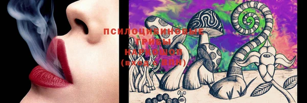 прущая мука Абаза