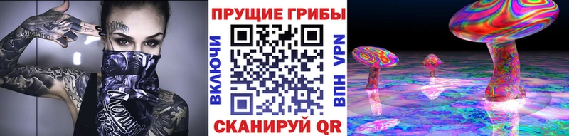 Галлюциногенные грибы Magic Shrooms сайты даркнета наркотические препараты Сычёвка