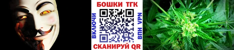 купить закладку  Сычёвка  Каннабис планчик 